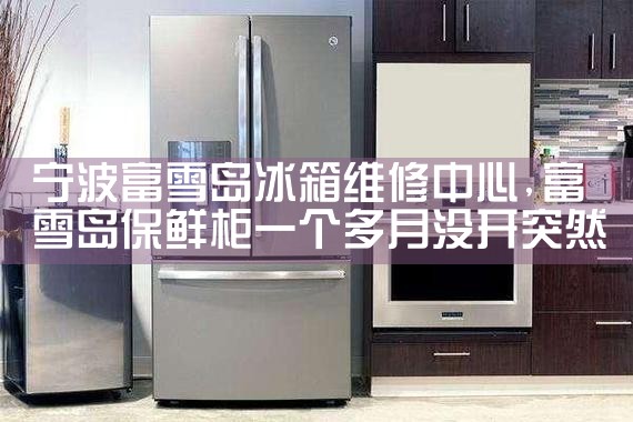 宁波富雪岛冰箱维修中心