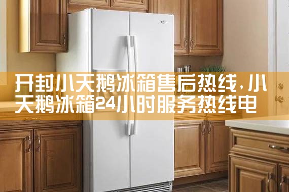 娄底扎努西冰箱维修中心