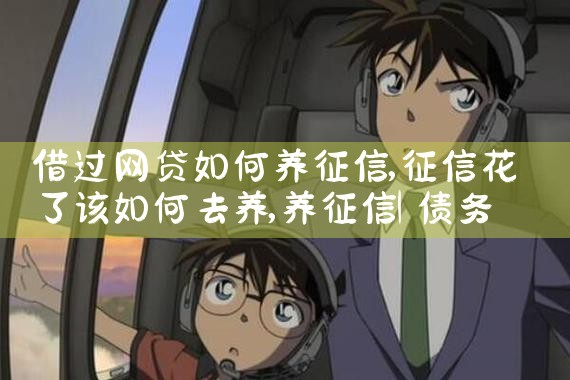 借过网贷如何养征信|养征信|债务重组