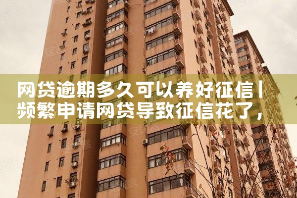 网贷逾期多久可以养好征信|养征信|债务重组