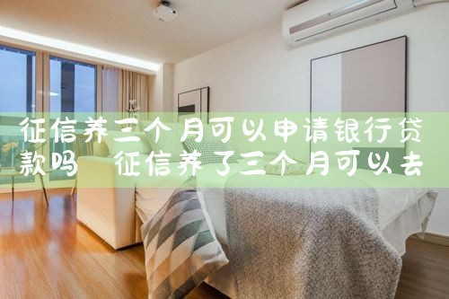 征信养三个月可以申请银行贷款吗|养征信|债务重组