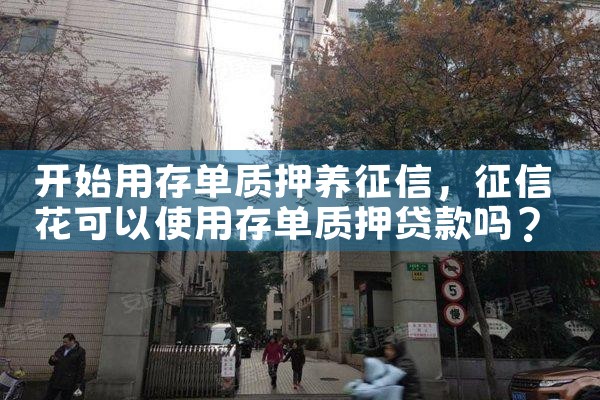 开始用存单质押养征信|养征信|债务重组