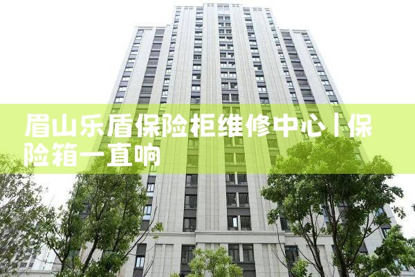 眉山乐盾保险柜维修中心