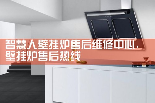 �ǻ��˱ڹ�¯�ۺ�ά������