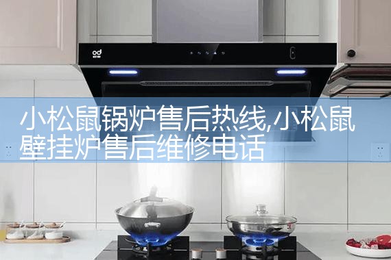 小松鼠锅炉售后热线