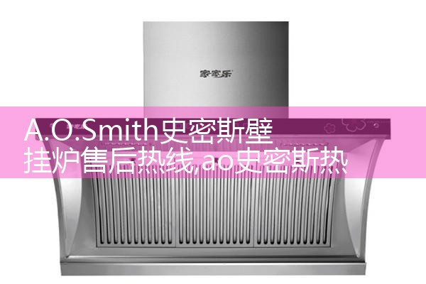 ��ŵ���ڹ�¯�ۺ�ά������