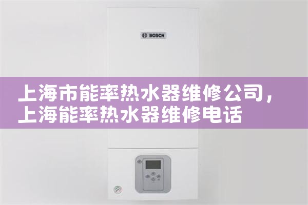 上海市能率热水器维修公司