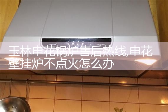 껨¯ۺ