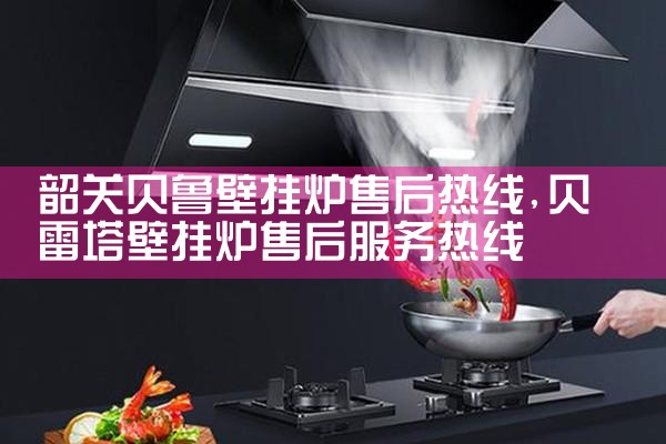 东莞馨洁尔壁挂炉售后热线
