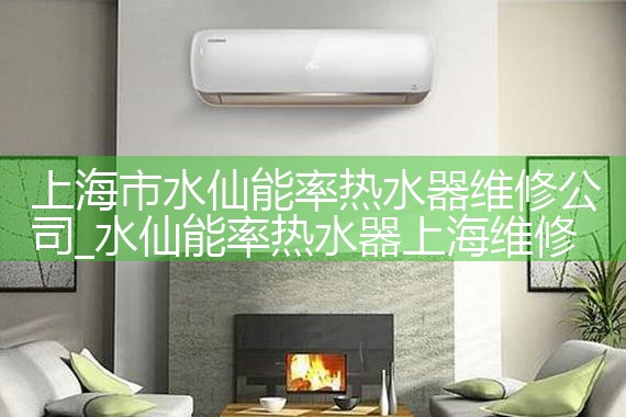 上海市水仙能率热水器维修公司