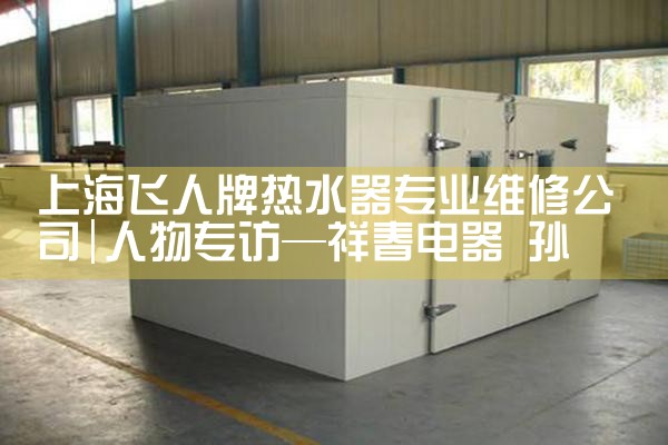 上海飞人牌热水器专业维修公司