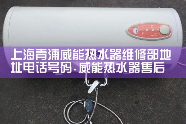 上海市林内热水器维修点浦东
