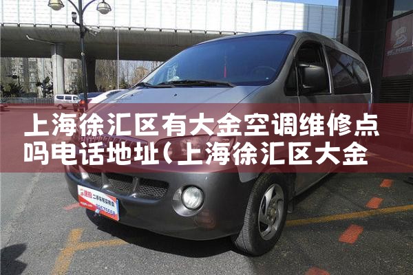 上海徐汇区有大金空调维修点吗电话地址|上门维修