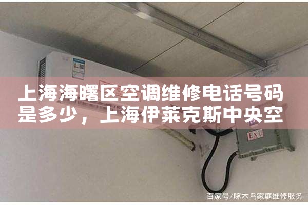 Ϻյά޵绰Ƕ|ά