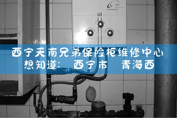 西宁天南兄弟保险柜维修中心