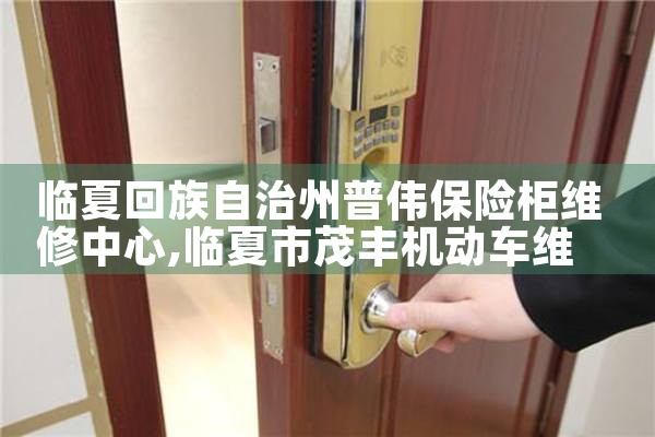 临夏回族自治州普伟保险柜维修中心