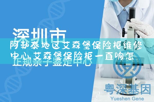 双鸭山啄木鸟家庭维修保险柜维修中心